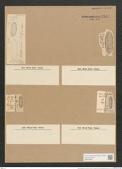 Nitzschia doljensis Pant. (de-Toni-Nr.: Genus 47, Species 2001) Zeichnungen Sammlung Grunow Nr. 3944 (NHMW-BOT-W0371698)